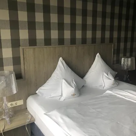Hotel Albus